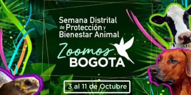 Ya llega la Semana Distrital de Protección y Bienestar Animal 2020 #ZoomosBogotá