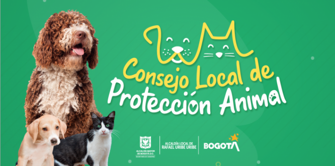 Convocatoria elecciones del Consejo Local de Protección Animal