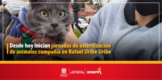 Desde hoy inician jornadas de esterilización  de animales compañía en Rafael Uribe Uribe