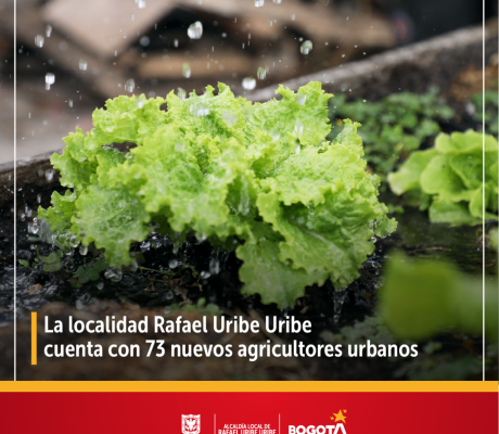 La localidad Rafael Uribe Uribe cuenta con 73 nuevos agricultores urbanos